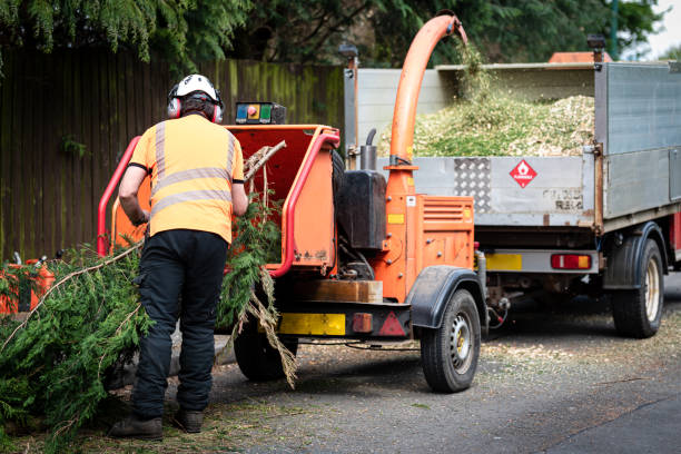 Best Lawn Grading and Leveling  in Iselin, NJ